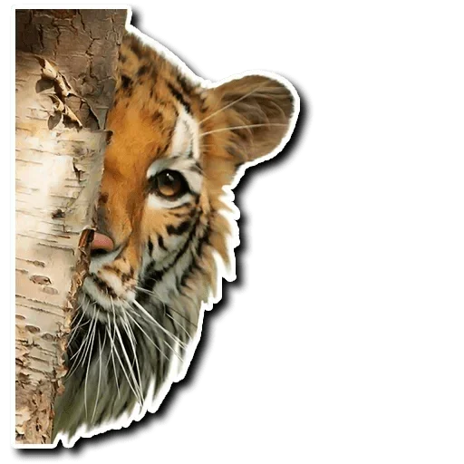 Стикер Tiger Tiger 😂