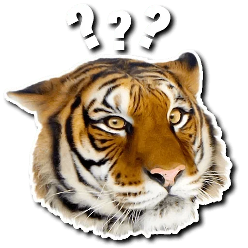 Telegram Sticker «Tiger Tiger» 😳