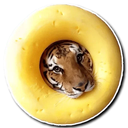 Telegram Sticker «Tiger Tiger» 😂