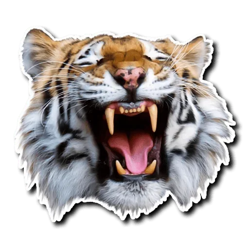 Telegram Sticker «Tiger Tiger» 😫