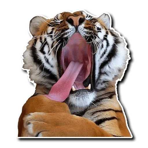 Tiger Tiger emoji 👅