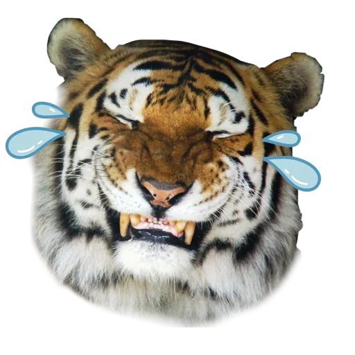 Емодзі Tiger ❤ 😂