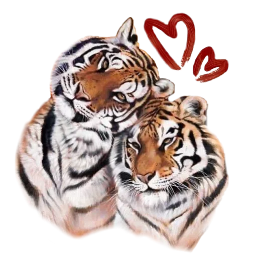 Telegram Sticker «Tiger ❤» 💕