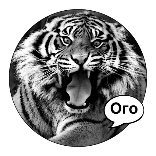 Telegram Sticker «Tiger ❤» 😱
