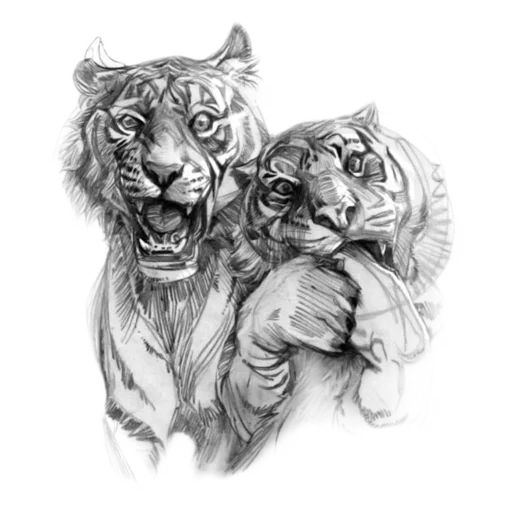 Telegram Sticker «Tiger ❤» 😜