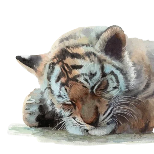 Telegram Sticker «Tiger ❤» 😴