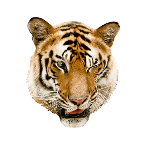 Емодзі Tiger ❤ 😉