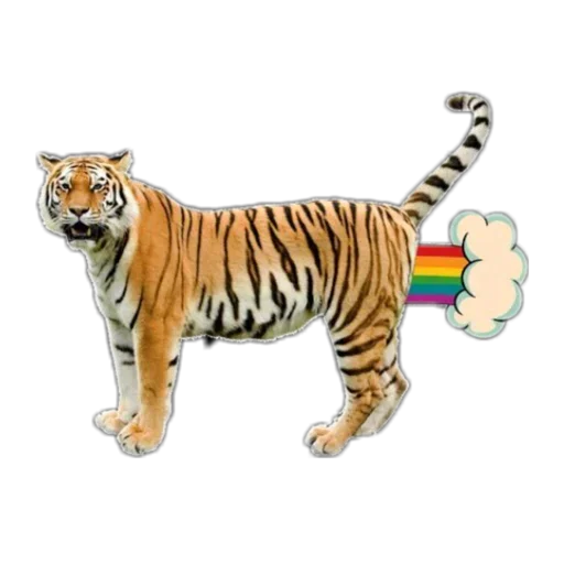 Telegram stiker «Tiger ❤» 😀