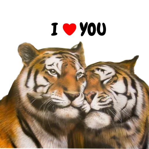 Telegram Sticker «Tiger ❤» ❤