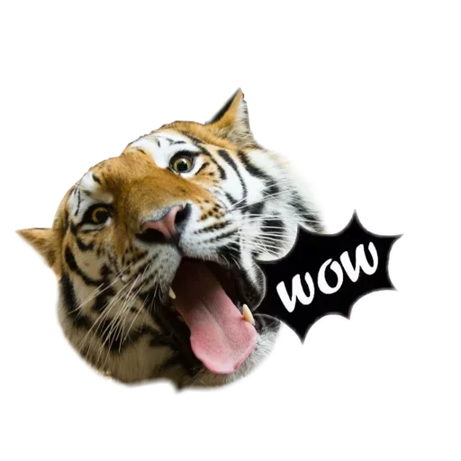 Telegram Sticker «Tiger ❤» 😲