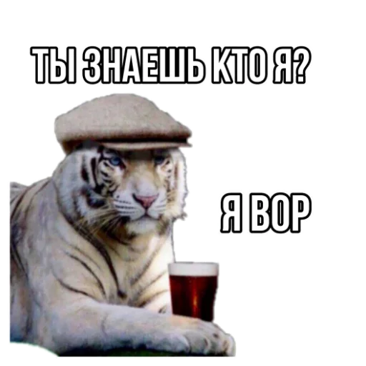 Telegram Sticker «Тигр пошлит» ⚫