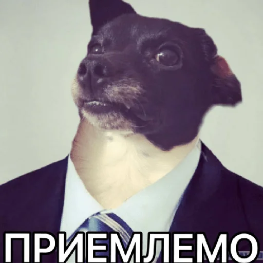 Эмодзи Timidi_Kopchik 👍