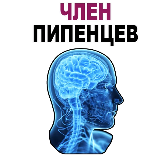 Telegram Sticker «Усталый Мозг» 