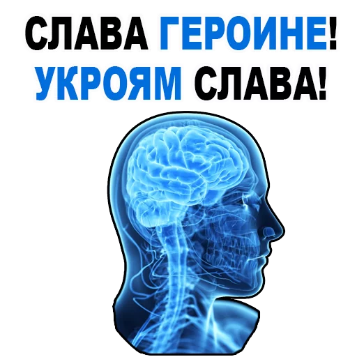 Стікер Telegram «Усталый Мозг» 