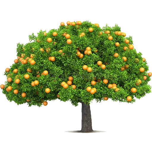 Telegram stiker «Trees Nature» 🌳