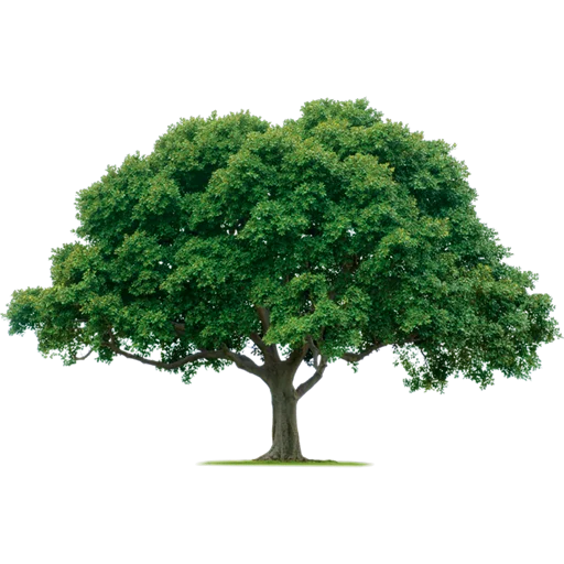 Trees Nature stiker 🌳
