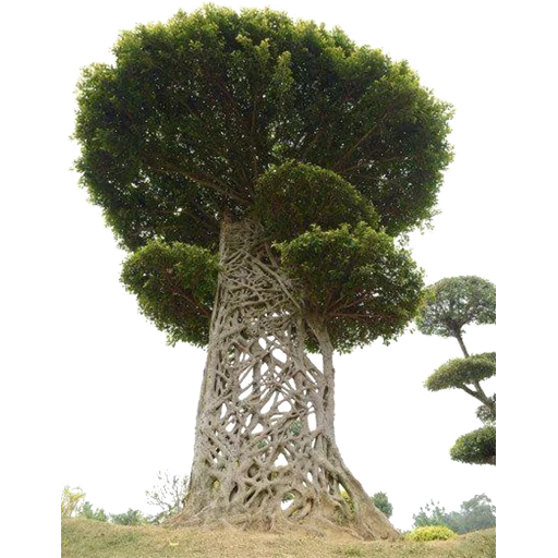 Trees Nature stiker 🌳