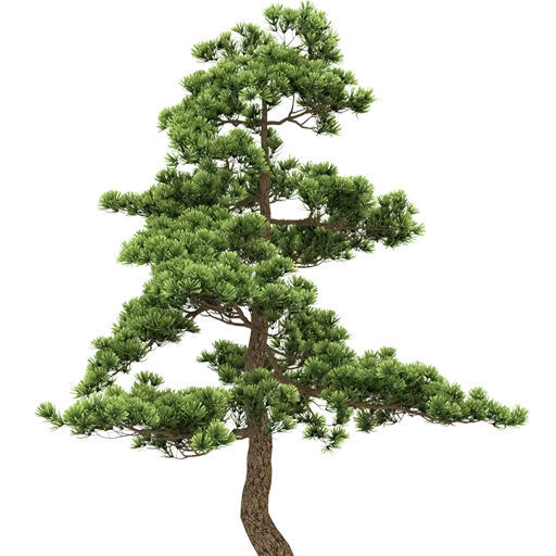 Telegram stiker «Trees Nature» 🌳