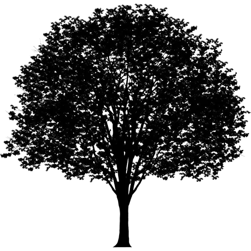 Telegram Sticker «Trees Nature» 🌳