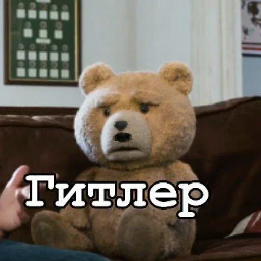 Стікер Telegram «Teddy» 🤨