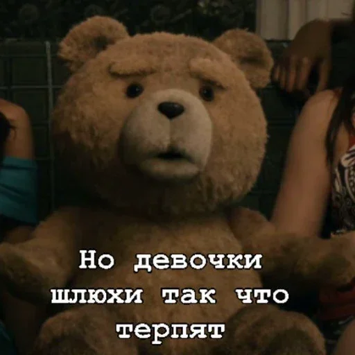 Стікер Telegram «Teddy» 😼