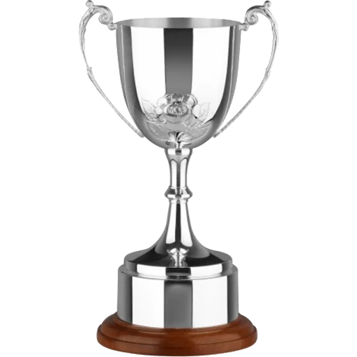 Стікер Trophy Congrats 🏆