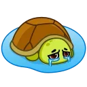 Donnie Turtle emoji 😥