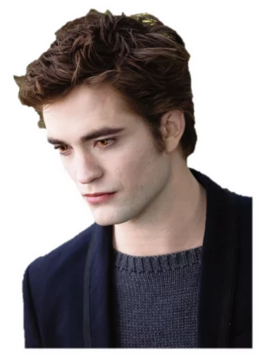 The Twilight Saga sticker 😣