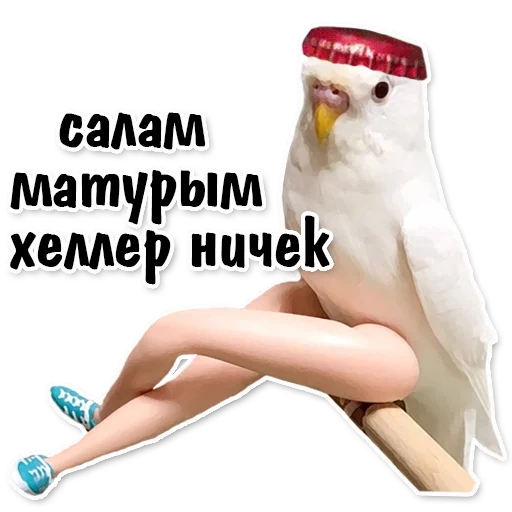 Telegram stiker «Tatar stickers» ☺