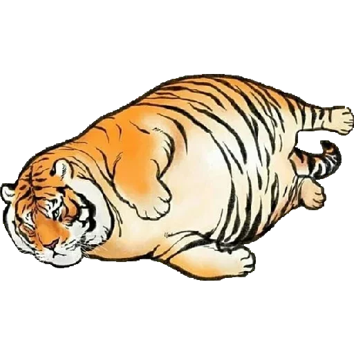 Tiger  stiker 😩
