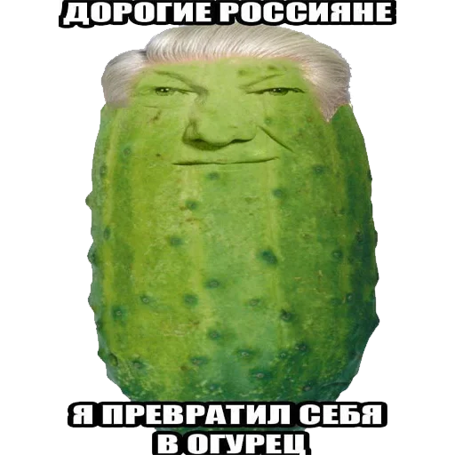 Рандомчик TF2 RUS CHAT emoji 🥒