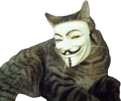 Telegram Sticker «Эти ебучие коты» 