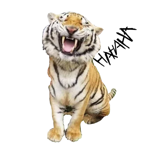 Tigers love stiker 😂