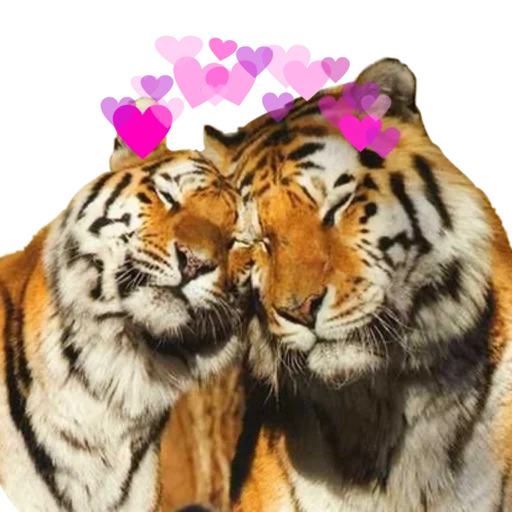 Эмодзи Tigers love 💕