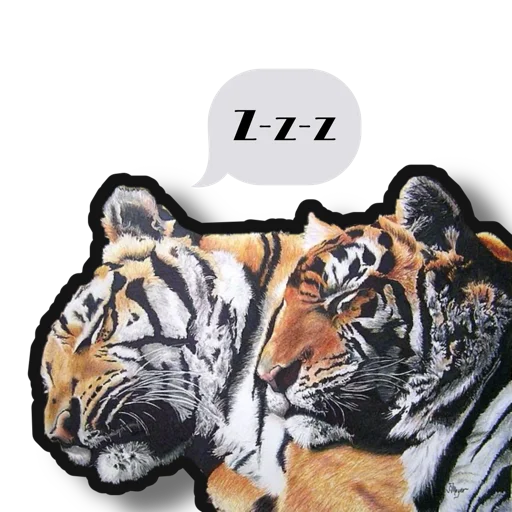 Tigers love stiker 😴