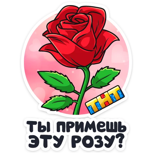 Телеканал ТНТ  stiker 🌹