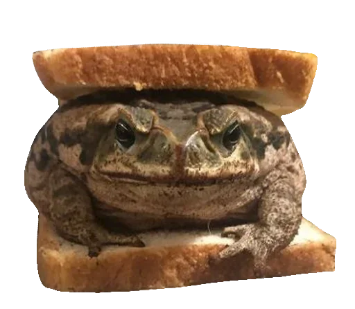 Стикер Toad 🐸