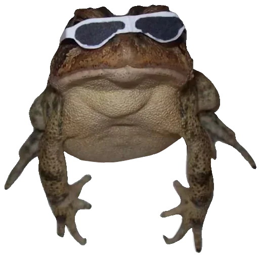 Стікер Toad 🐸
