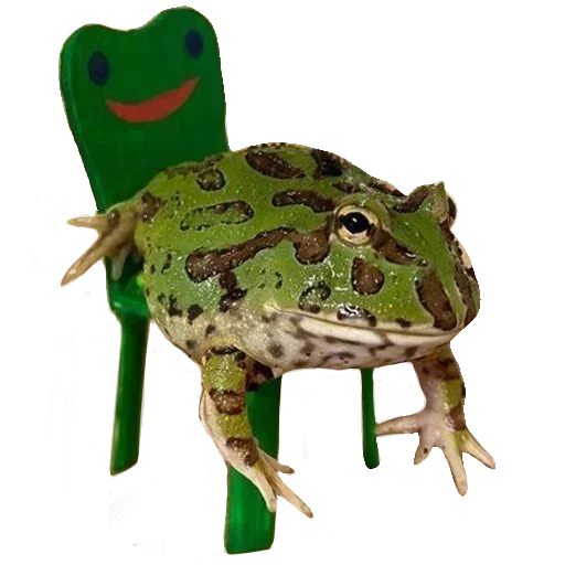 Стікер Toad 🐸