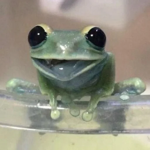 Toads and Frogs emoji ?