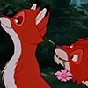 Емодзі телеграм tod and vixey | Fox and the Hound