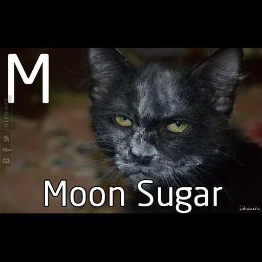 Стикер Telegram «too much sugar» 😙
