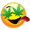 weed  emoji 😶‍🌫️