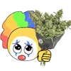 weed  emoji 💐