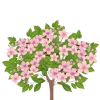 Telegram emojisi «Деревья» 🪴