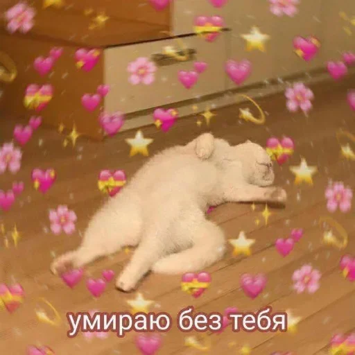 Стикер ✨💖~ TSE LIUBOV ~💖✨ 🥵