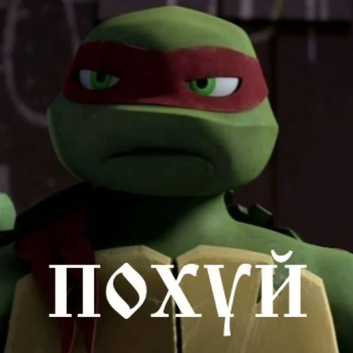 Turtles2012 emoji 😲