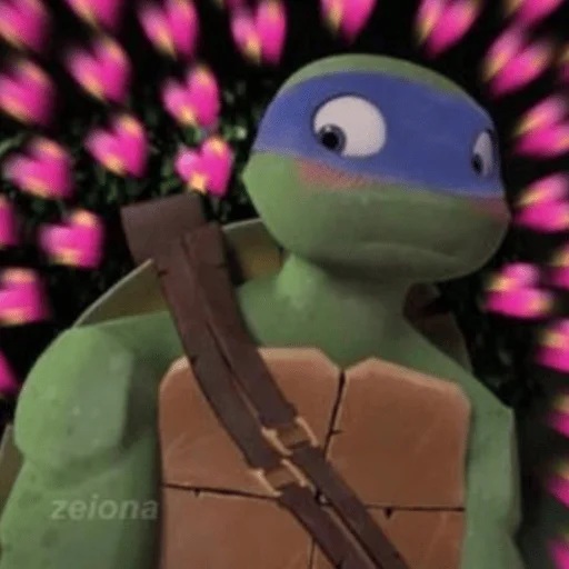 Turtles2012 emoji 😩