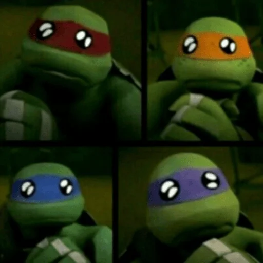 Turtles2012 emoji 🫢