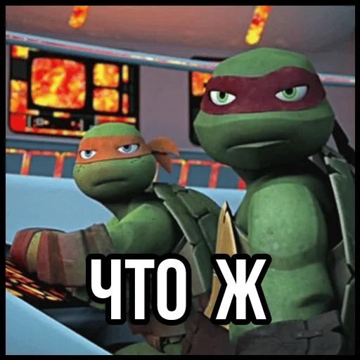 Turtles2012 sticker 🤨
